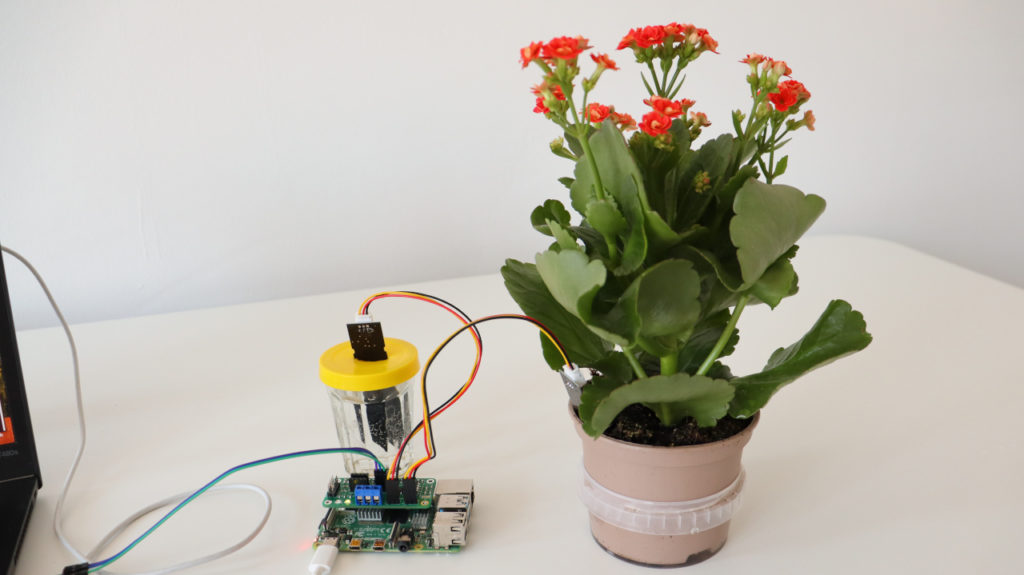 Add Capacitive Soil Moisture Sensors to Raspberry Pi – ANAVI Technology