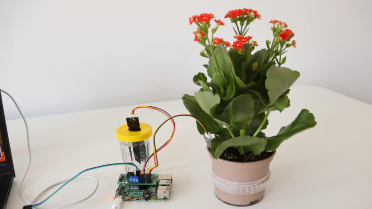 Add Capacitive Soil Moisture Sensors to Raspberry Pi – ANAVI Technology